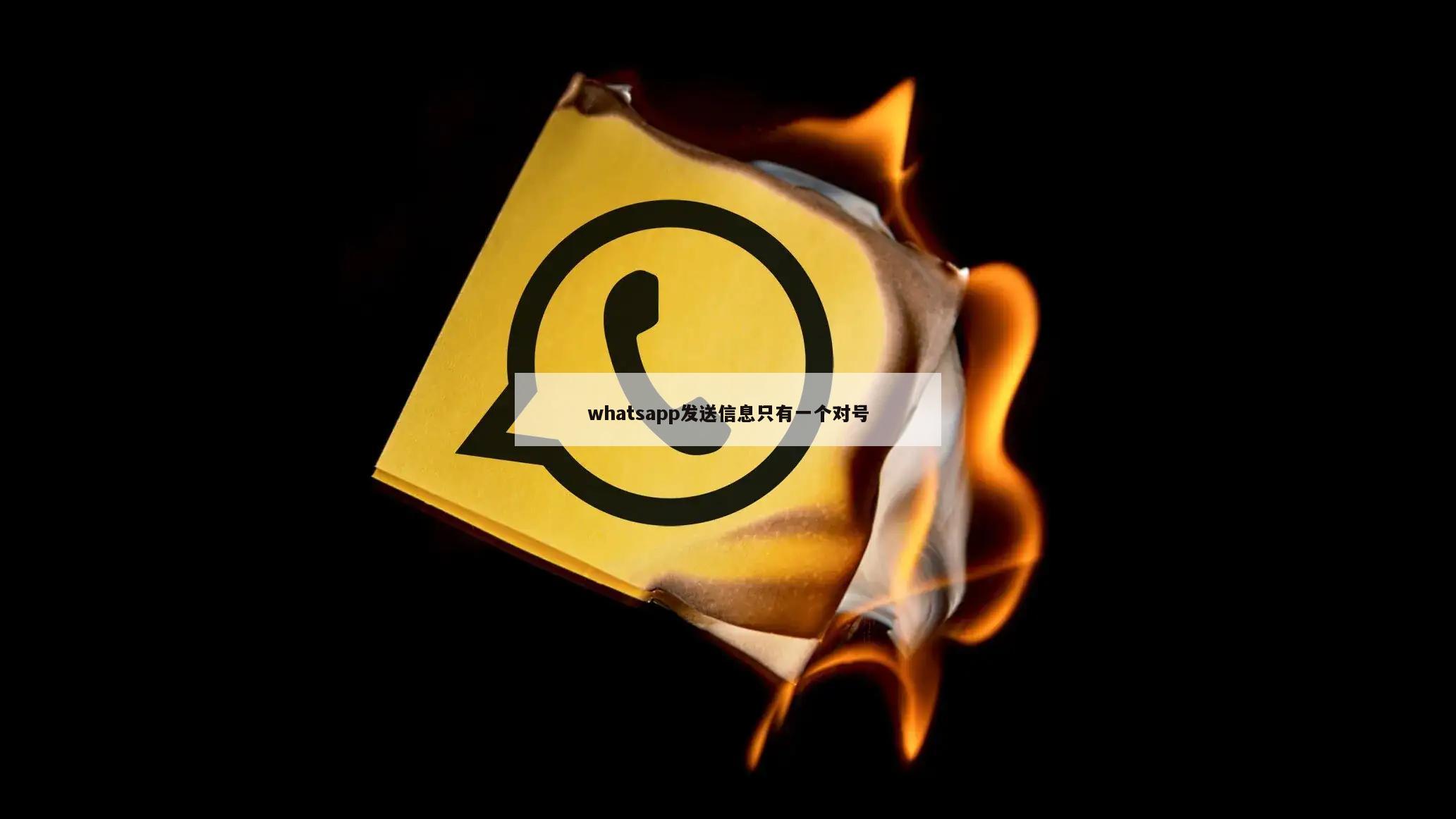 whatsapp发送信息只有一个对号
